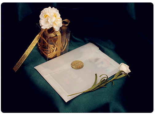 Transparent Envelopes for Acrylic Wedding Invitations HPA289