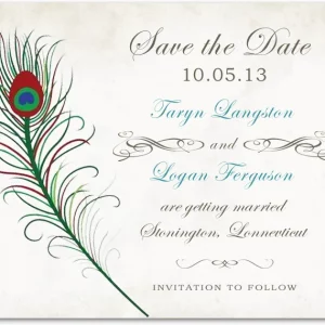 peacock feather save the date card elegant artistic wedding announcement colorful feather design vintage background